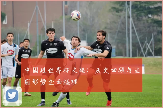 中国进世界杯之路:历史回顾与当前形势全面梳理