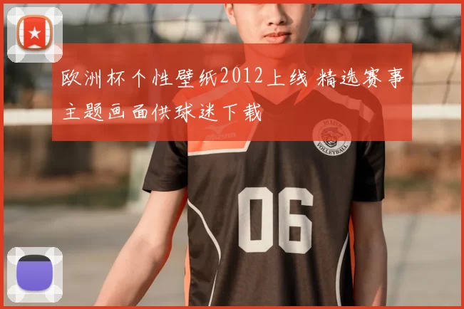 欧洲杯个性壁纸2012上线 精选赛事主题画面供球迷下载