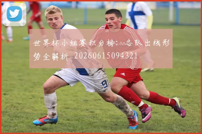 世界杯小组赛积分榜：各队出线形势全解析_20260615094321