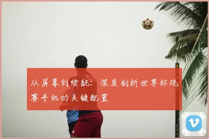 从屏幕到续航：深度剖析世界杯观赛手机的关键配置