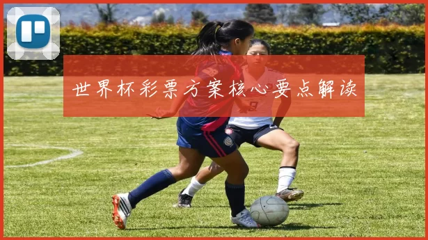 世界杯彩票方案核心要点解读