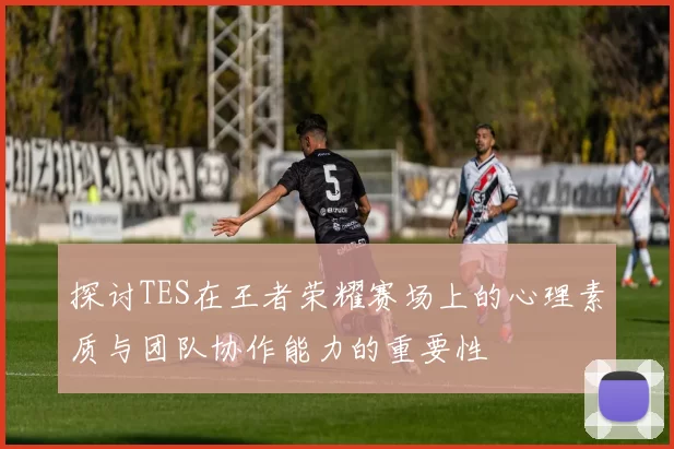 探讨TES在王者荣耀赛场上的心理素质与团队协作能力的重要性