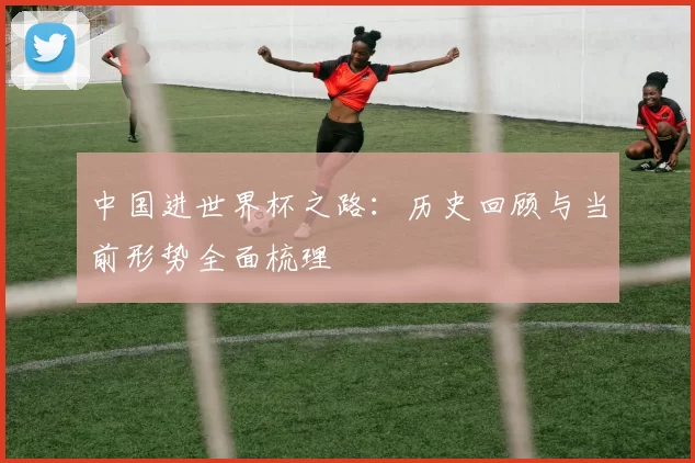 中国进世界杯之路：历史回顾与当前形势全面梳理